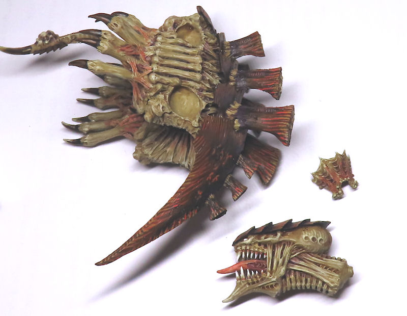 dimachaeron3.jpg