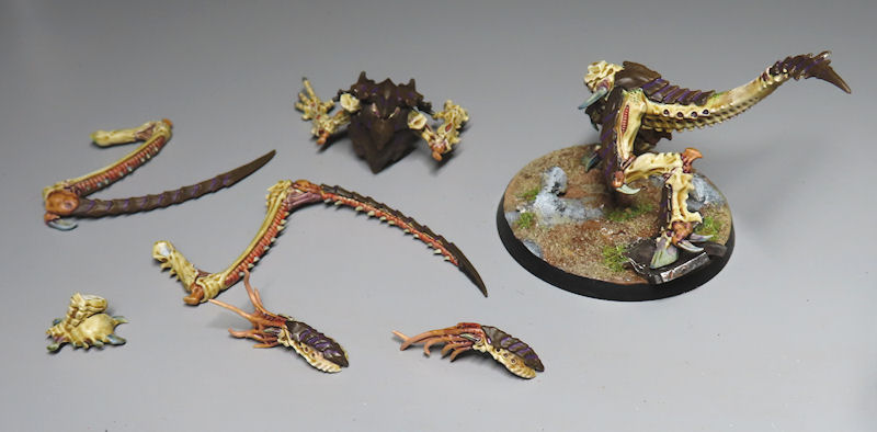 lictor11.jpg