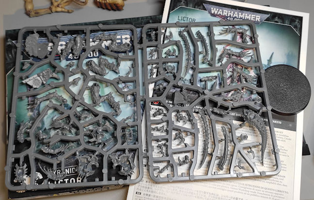 lictor2.jpg