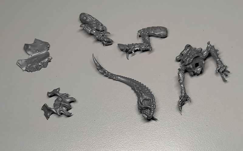 lictor3.jpg