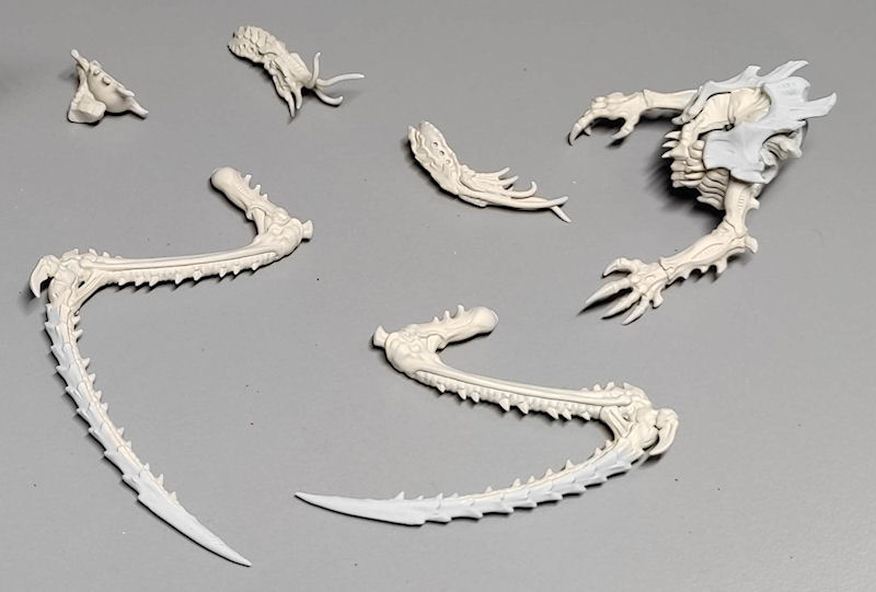 lictor7.jpg